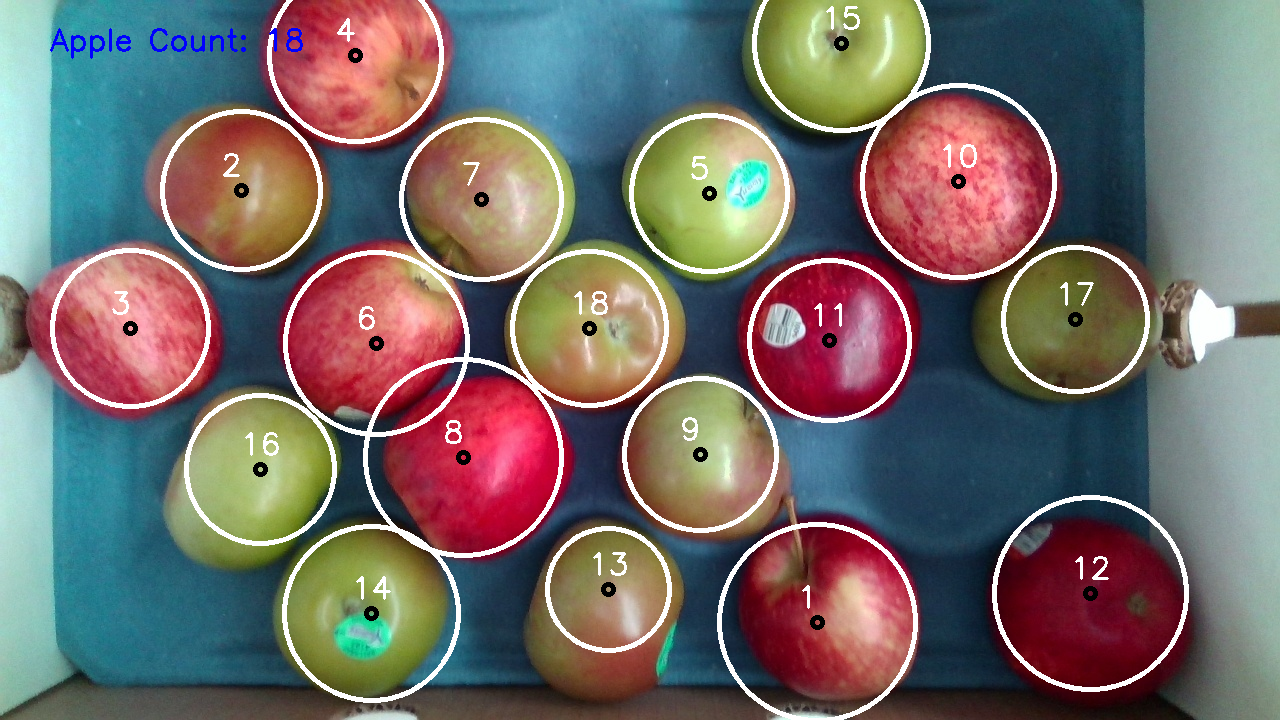 image of apples with count overlaid